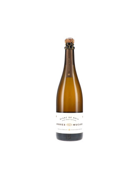 Blanc de Noir Sekt Brut Nature 2023 Andres&Mugler (bio)