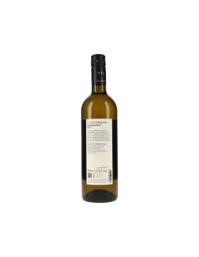 Sauvignon Blanc DAC 2024 Sattlerhof (bio)