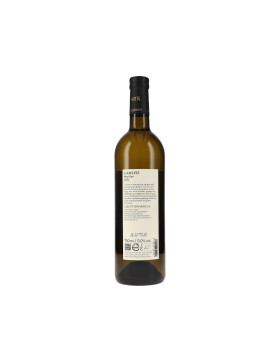 Gamlitz Morillon DAC 2024 Sattlerhof (bio)