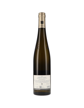 Riesling Ölberg GG 2024 Kühling-Gillot (bio)