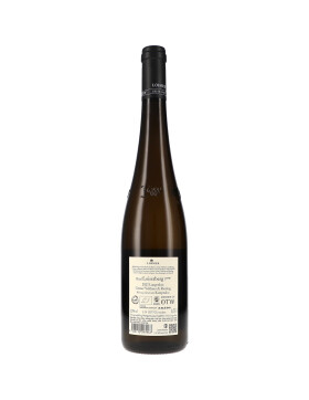 Ried Loiserberg Grüner Veltliner & Riesling 1.ÖTW Kamptal DAC 2023 Loimer (bio)