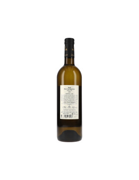 Ried Pfarrweingarten Morillon DAC 2019 Sattlerhof (bio)