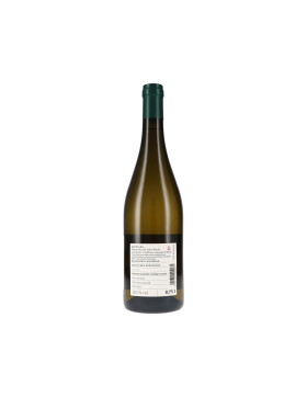 Steiner Grauburgunder 2023 Weingut am Klotz