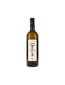 Ried Trinkaus Sauvignon Blanc DAC 2021 Sattlerhof (bio)