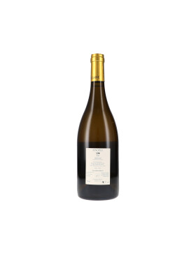 Sinople AOC 2023 Château de Coulaine (bio)