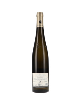 Riesling Pettenthal GG 2024 Kühling-Gillot (bio)