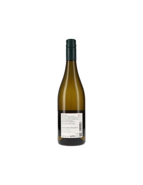 Sauvignon Blanc Kalk und Löss 2024 Weingut am Klotz