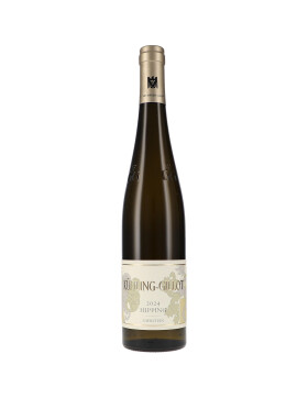 Riesling Hipping GG 2024 Kühling-Gillot (bio)