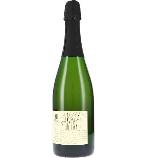 Particella 128, Spumante dellEmilia IGT 2023 Cinque Campi (bio)
