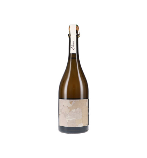 Cuvée "Ailleurs" Brut Nature 2019 Olivier Horiot (bio)