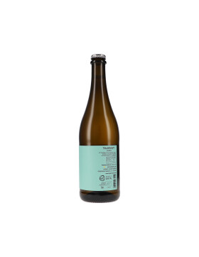Traubensaft prickelnd 2025 Hajszan Neumann (bio)