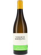 Welschriesling 2024 Velich