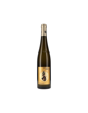 Riesling Kirchenstück GG 2024 Battenfeld-Spanier (bio)