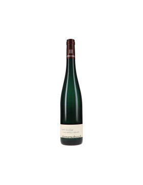 Riesling "vom roten Schiefer" 2024 Clemens...