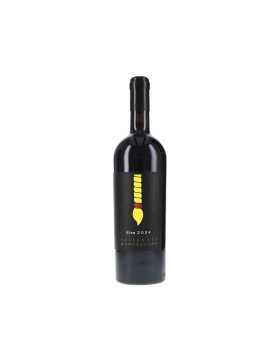 Elsa IGT Toscana Rosso 2024 Salicutti (bio)