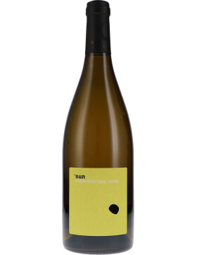 Nun Vinya dels Taus 2024 Enric Soler