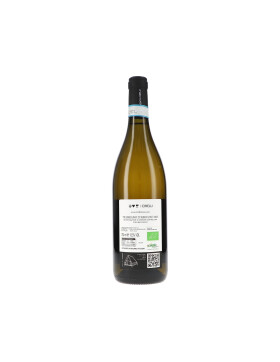 Trebbiano dAbruzzo DOC Amphora 2023 Cirelli (bio)