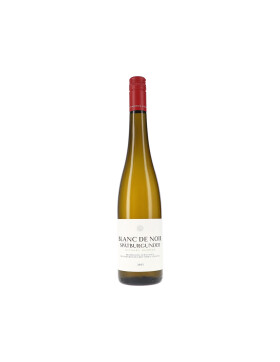 Spätburgunder Blanc de Noir 2025 Michael Andres (bio)
