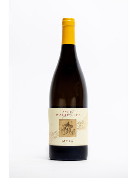 Sauvignon MYRA DOC 2025 ANSITZ WALDGRIES