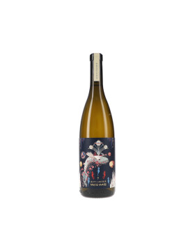 Misto Mare IGT 2025 Alois Lageder