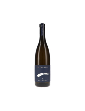 PRE CHA XXIII, Komet Vino Bianco 2023 Alois Lageder