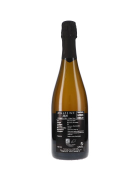 Millesime 2020, Premier Cru Extra Brut 2020...