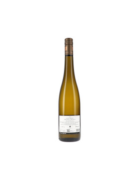 Qvinterra Riesling trocken 2025 Kühling-Gillot (bio)