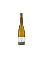 Qvinterra Riesling trocken 2025 Kühling-Gillot (bio)