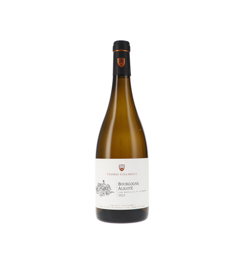 Bourgogne Aligoté AOC 2023 Thomas-Collardot