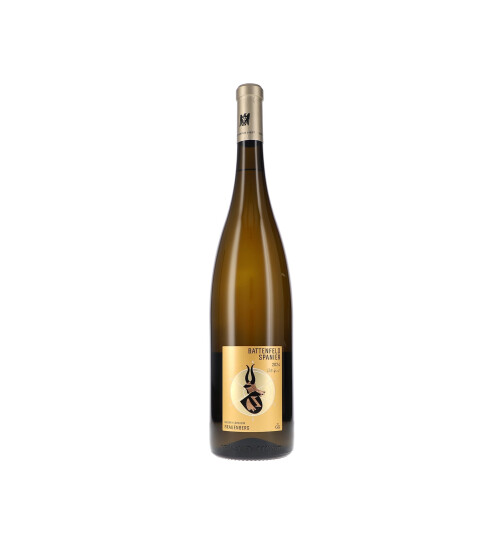 Riesling Frauenberg GG 2024 Battenfeld-Spanier (bio)