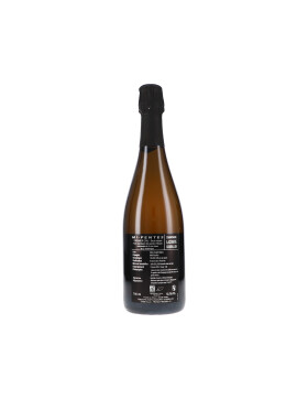 Mi-Pentes, Premier Cru Brut Nature L2022+Réserve...