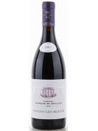 Pinot Noir Savigny-Les-Beaune rouge 2017 CHANDON DE BRIAILLES (bio)