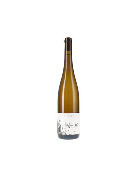Riesling trocken 2023 Roterfaden (bio)