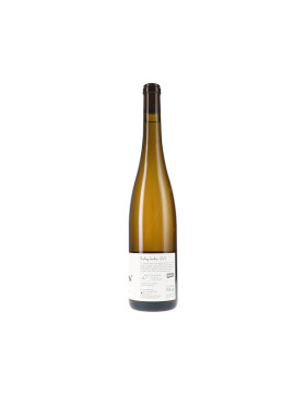 Riesling trocken 2023 Roterfaden (bio)