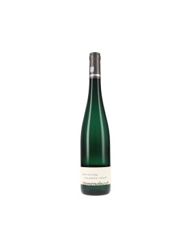 Riesling "vom grauen Schiefer" 2024 Clemens...