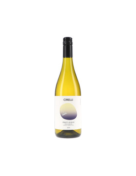 Pinot Grigio IGP Terre dAbruzzo 2025 Cirelli (bio)