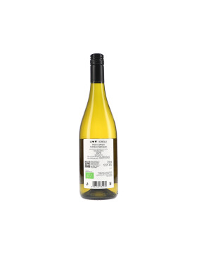 Pinot Grigio IGP Terre dAbruzzo 2025 Cirelli (bio)