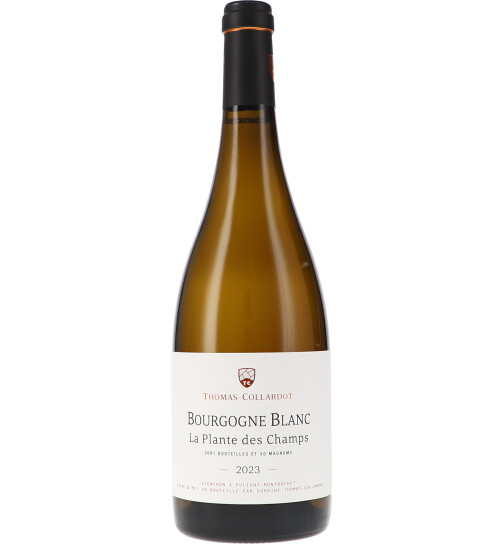 Bourgogne blanc "La Plante des Champs" AOC 2023 Thomas-Collardot (bio)