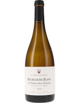 Bourgogne blanc "La Plante des Champs" AOC 2023...
