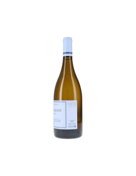 Bourgogne Aligoté AOC 2023 Bruno Clair