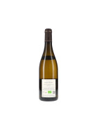 Chassagne-Montrachet 1er Cru Morgeot AOC 2024 Thomas Morey (bio)