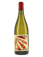 Solerte IGT Terre Siciliane 2025 Vino Lauria (bio)