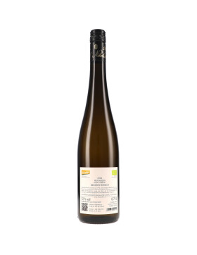Hefeabzug, Grüner Veltliner trocken 2024 Nikolaihof...