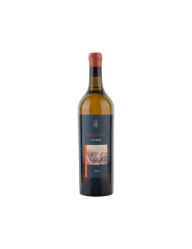 Diplomate dEmpire, Blanc VdF 2024 Abbatucci (bio)