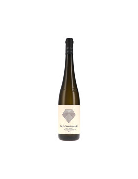 Grüner Veltliner Ried Steinberg 1.ÖTW 2024...