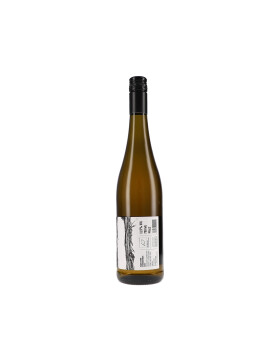 Blanc de Noir 2025 M. Schädler - Steffen Mugler (bio)