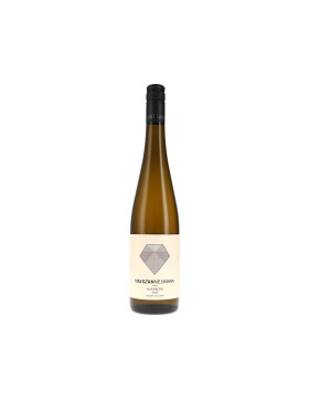 Grüner Veltliner Nussberg 2025 Hajszan Neumann (bio)