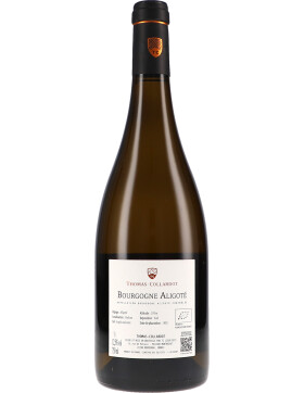 Bourgogne Aligoté AOC 2024 Thomas-Collardot (bio)