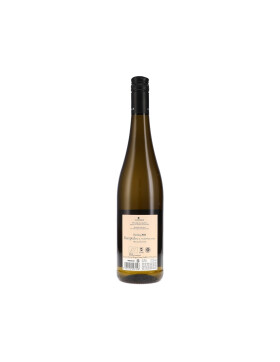 Riesling Kamptal DAC 2025 Loimer (bio)