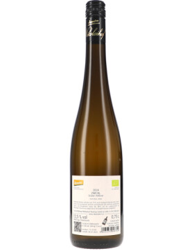 Zwickl, Grüner Veltliner trocken 2024 Nikolaihof (bio)